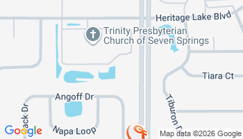 New Port Richey, FL Homeowner's Insurance Agency